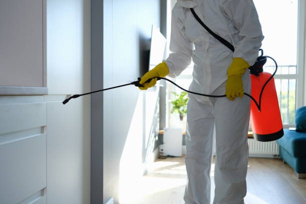 Best Mold Cleaning Services  in Raymond, WI