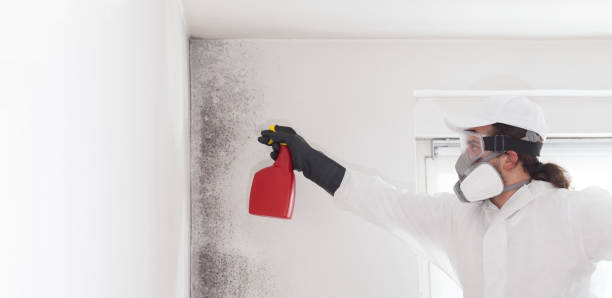 Best Affordable Mold Removal  in Raymond, WI